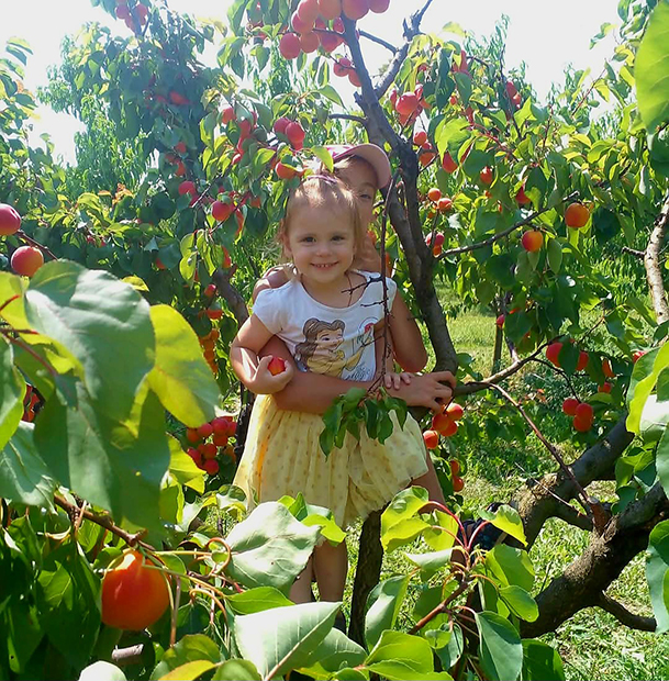 Frutmix
