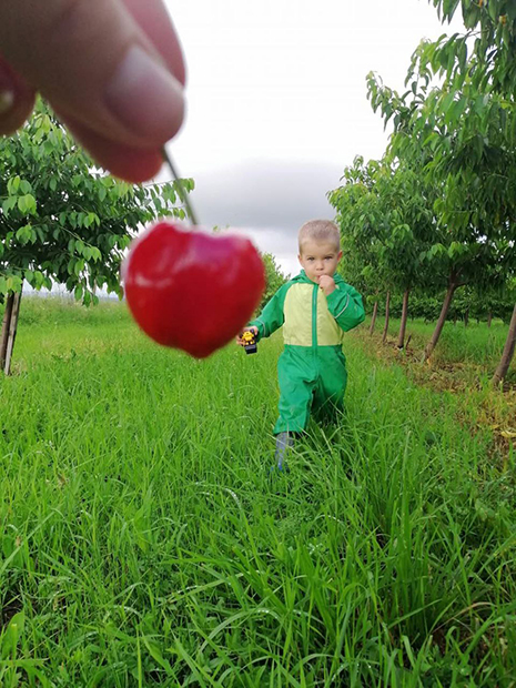 Frutmix