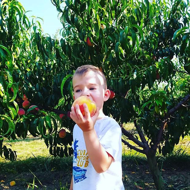 Frutmix