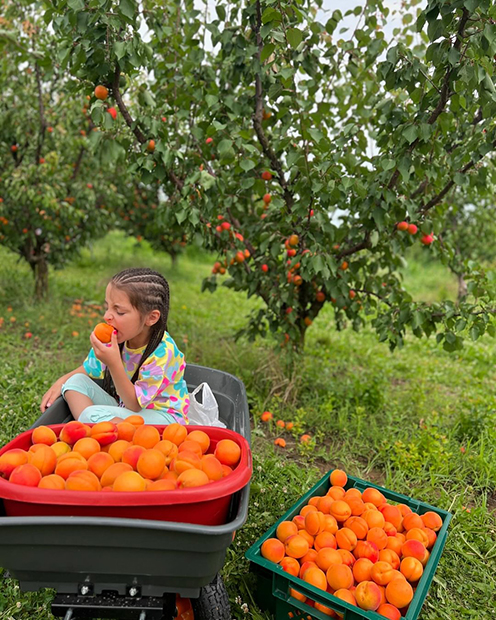 Frutmix