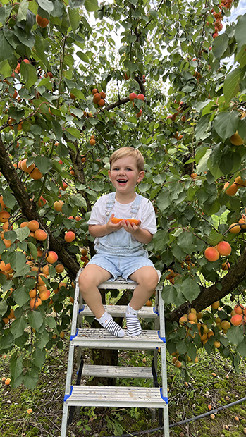 Frutmix