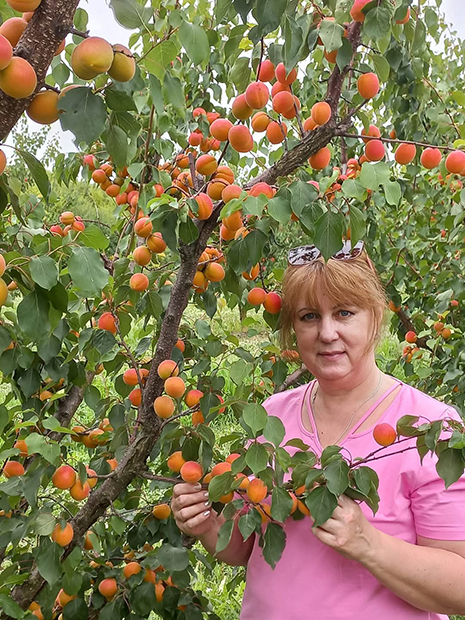 Frutmix