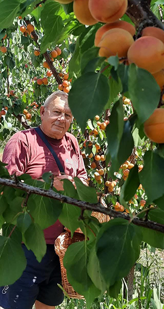 Frutmix