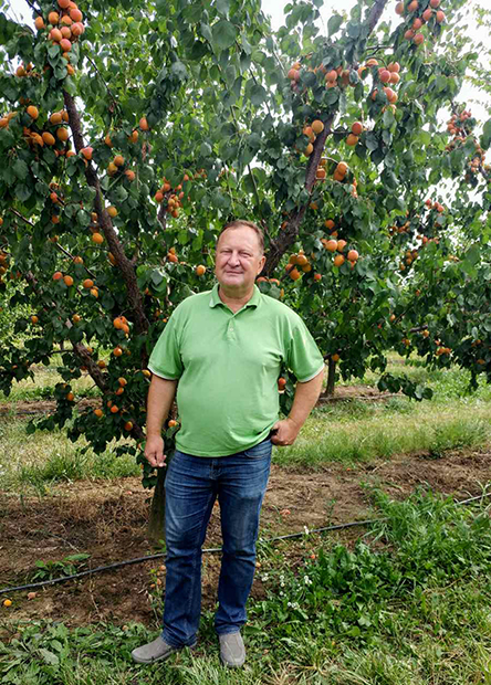 Frutmix